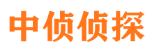 金阳调查公司